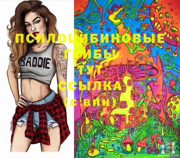 спиды Баксан