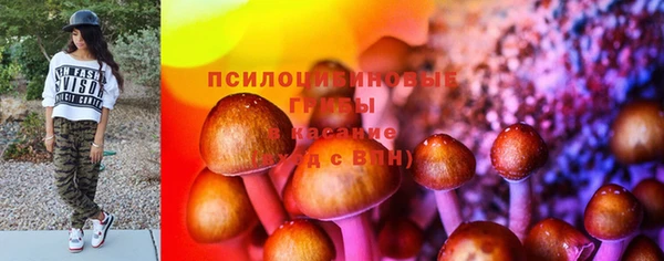 apvp Богородск